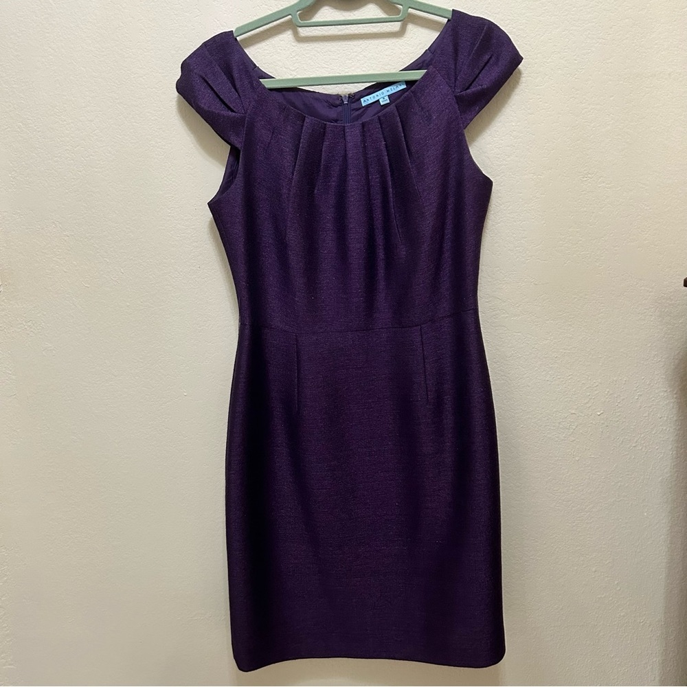 Antonio Melani Purple Cap Sleeved Dress with a little sparkle in the fabric.